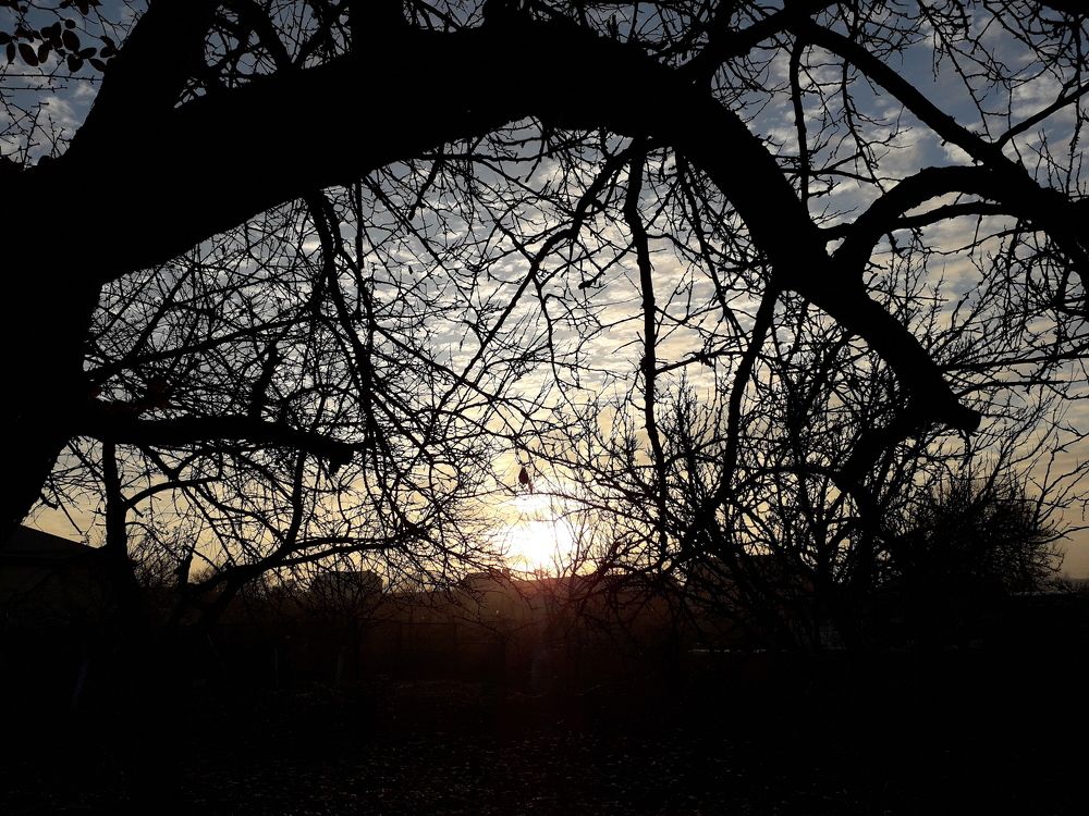Photo #7046569