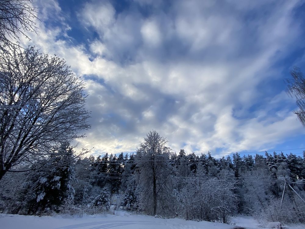 Photograph by Елена