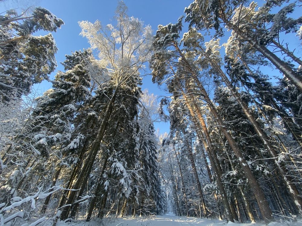 Photograph by Елена