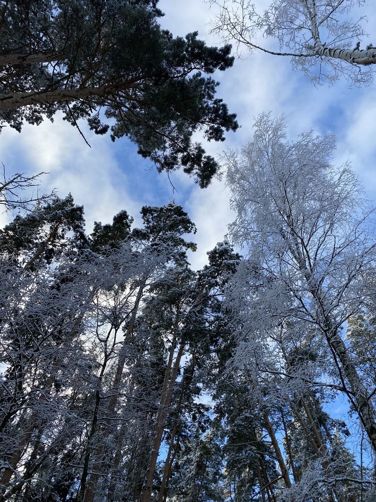 Photograph by Елена