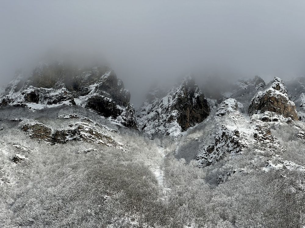 Photograph by roya razaghi