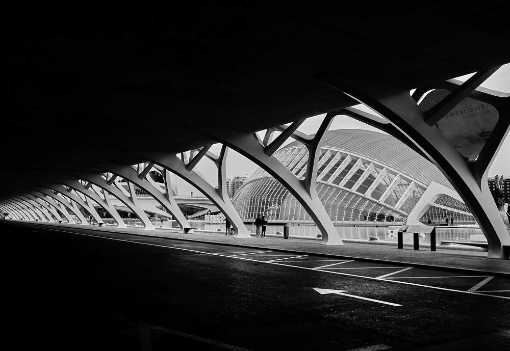 Ciudad de artes y ciencias en Valencia España