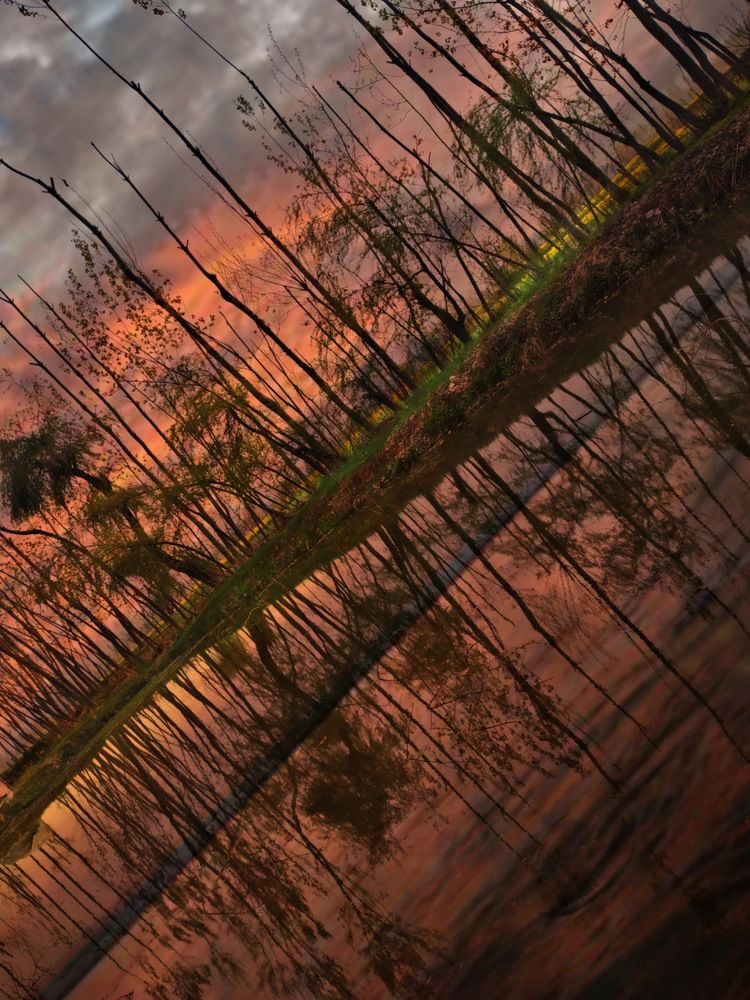 Photograph by SUHAIL Ul islam