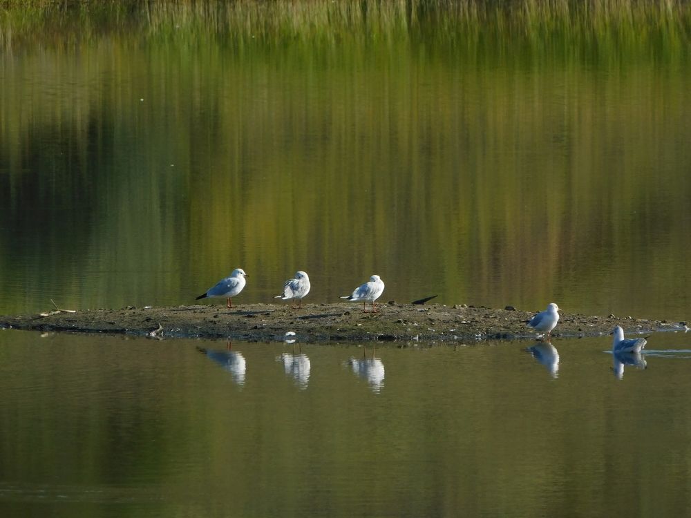 Photograph by Сергей Чеченов