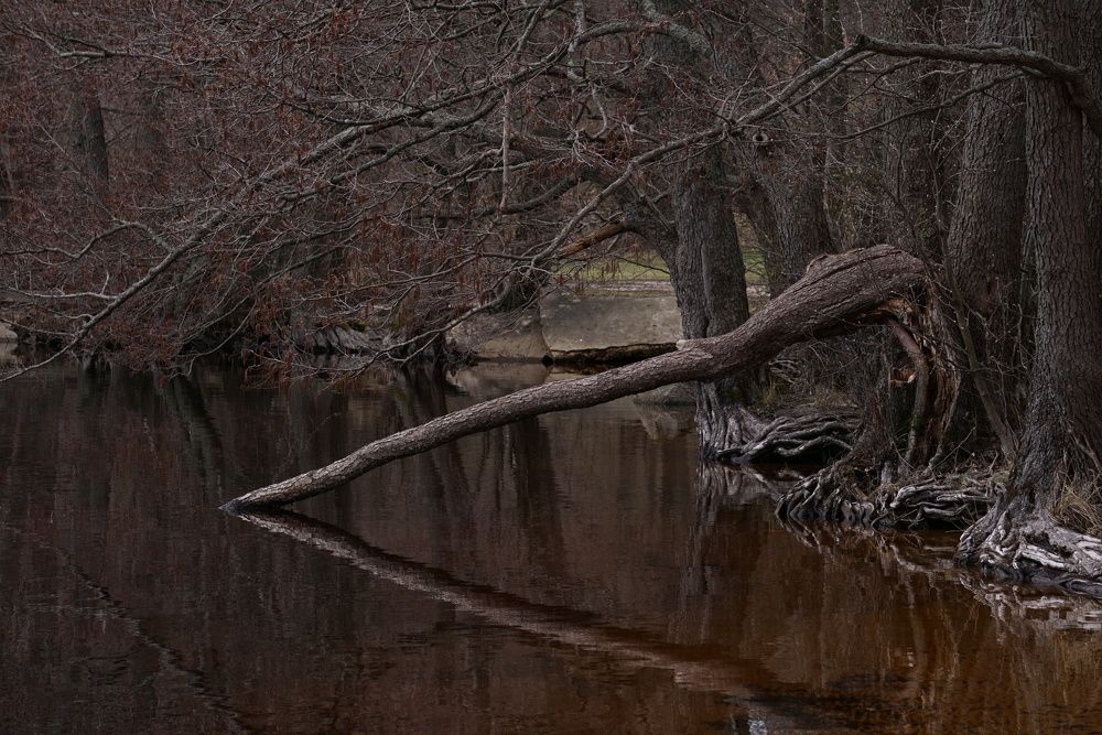 Photograph by Наталия