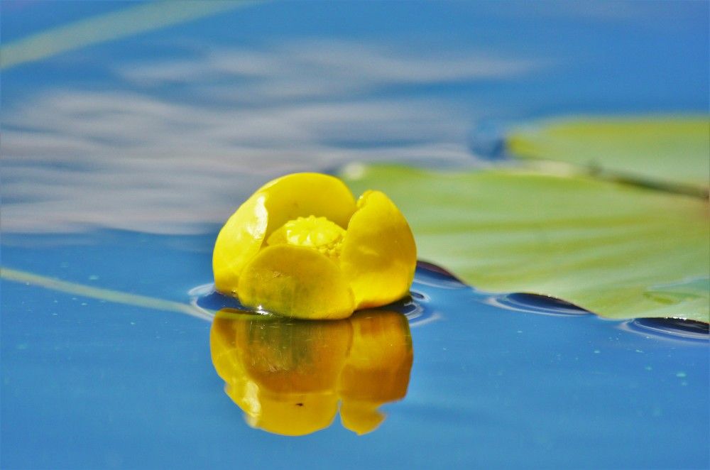 Photograph by Наталья Иванова