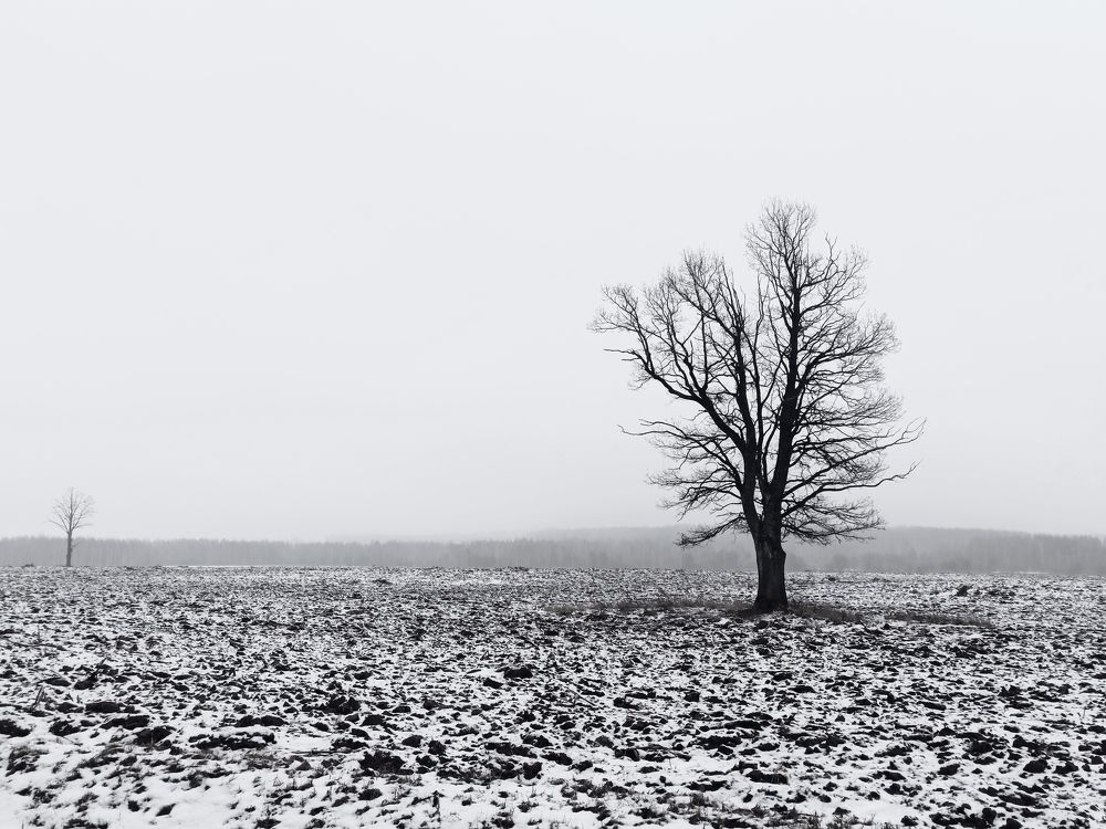 Photograph by Галина Мицевич