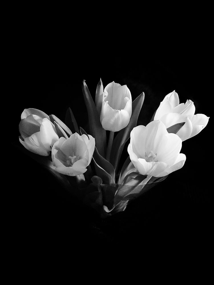 Photograph by Марина Слепова