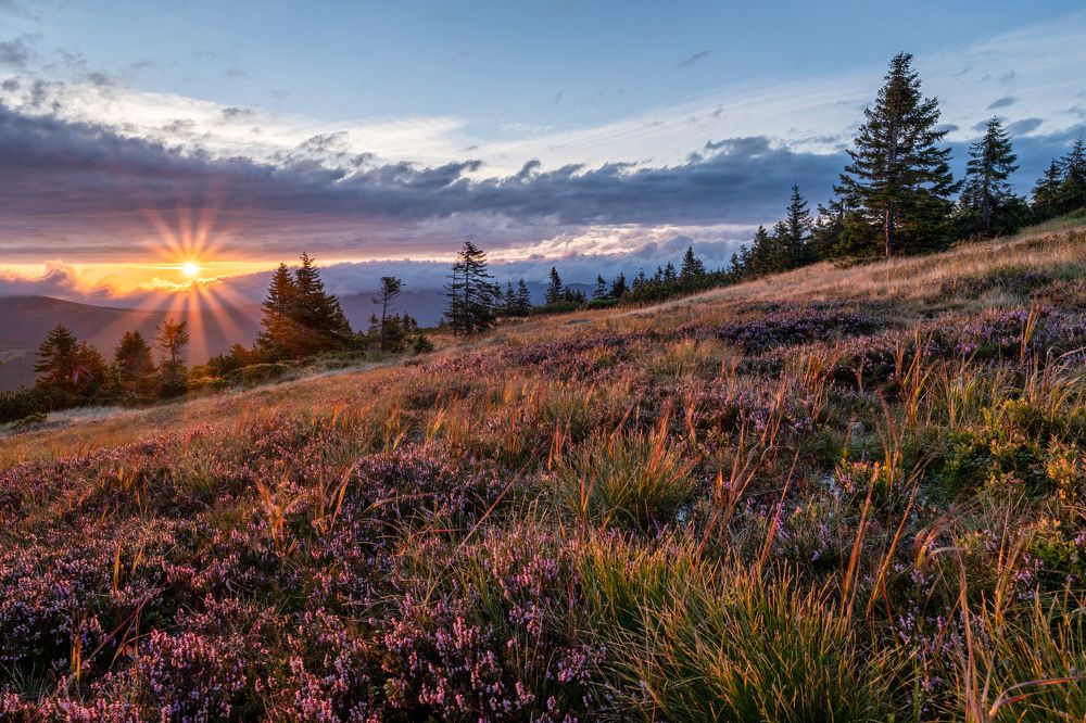 Photograph by Jaroslav Málek