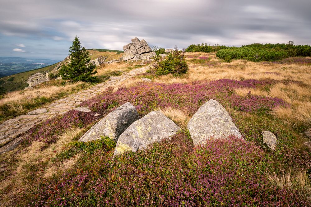Photograph by Jaroslav Málek