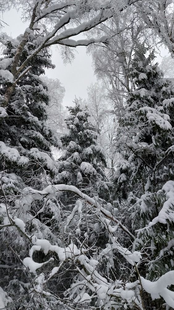 Фотография автора Сергей Никишин