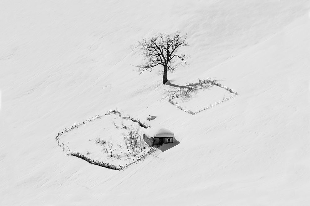 Photograph by homayon kshvarprst navi