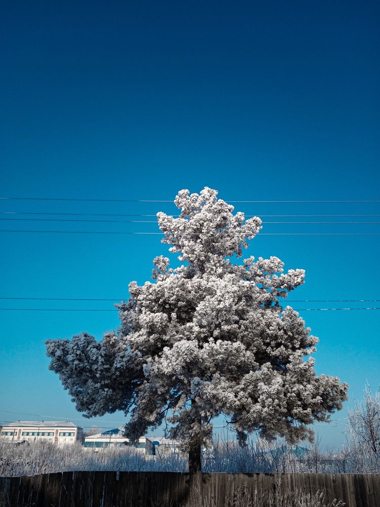 Photo #7047124
