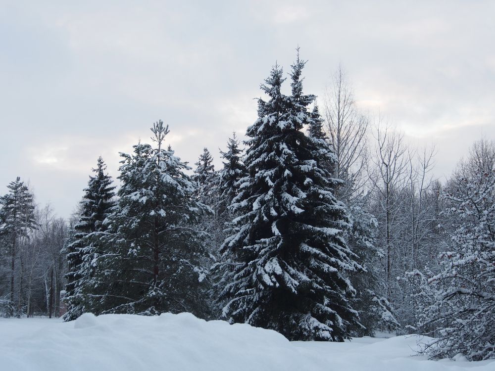 Photograph by Alexander Chernikov
