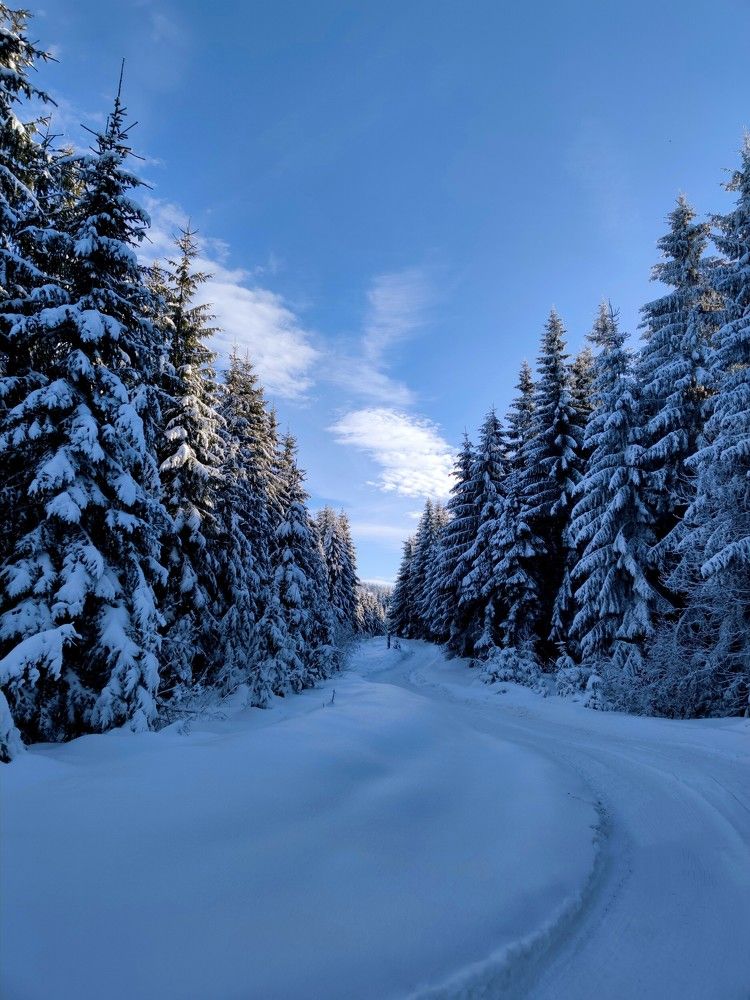 Photograph by Инна Макарчук