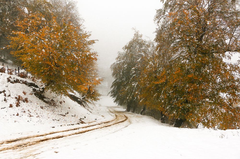 Photograph by homayon kshvarprst navi