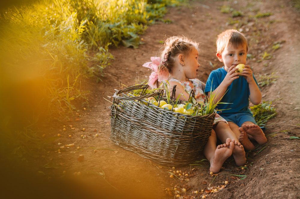 Photograph by Альбина Баташова