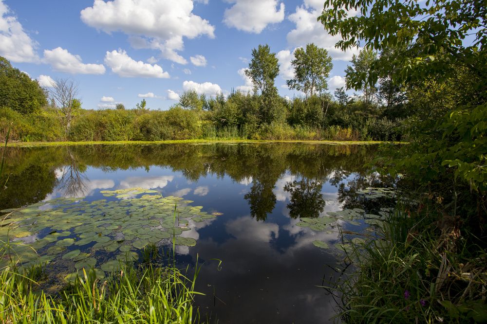 Photograph by Дмитрий Черепков