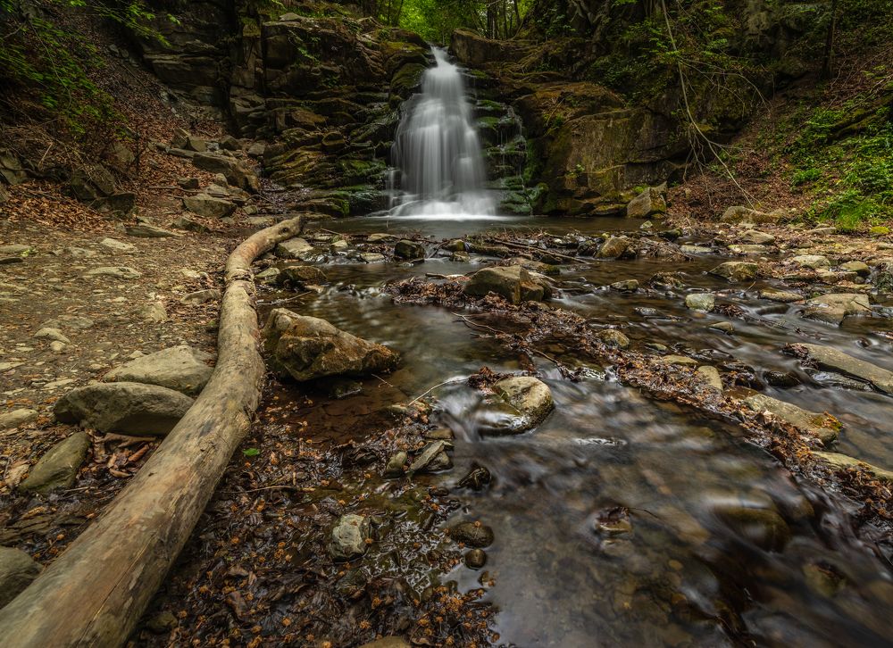 Photograph by Dariusz Budyta