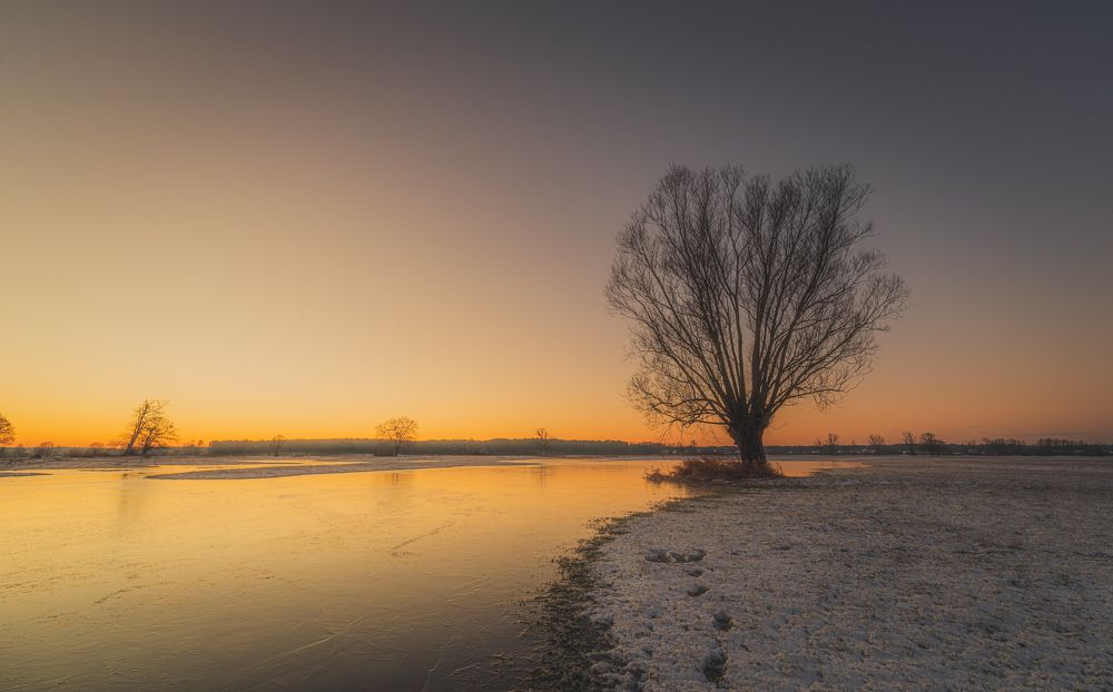 Photograph by Dariusz Budyta