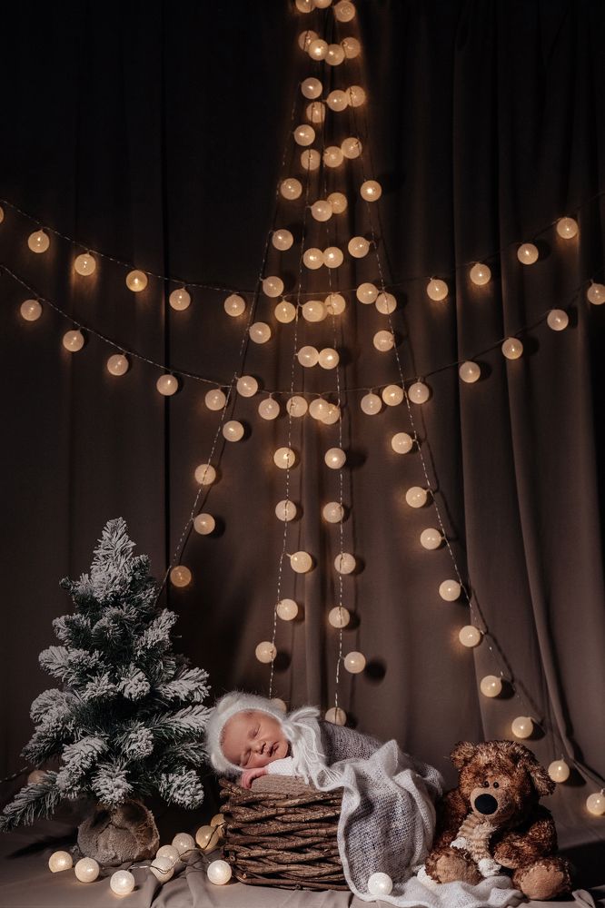 Фотография автора Светлана Сергеевна Абрамян