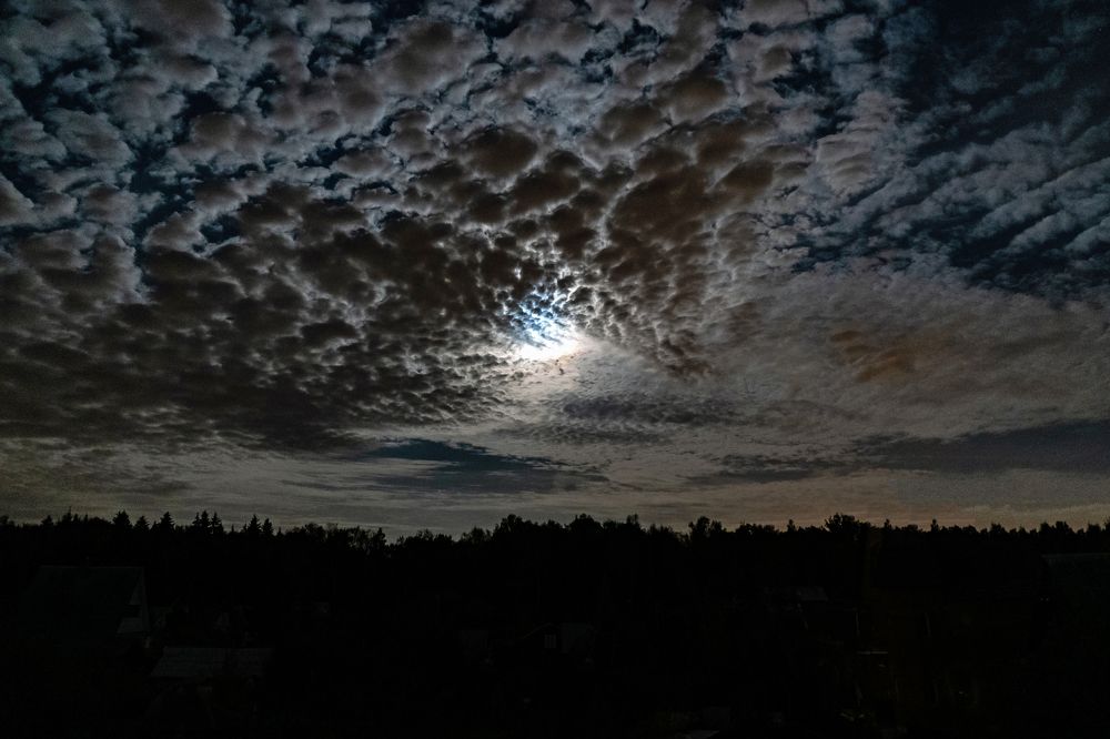 Photograph by Андрей Л