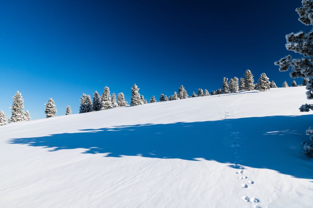 Фотография автора Екатерина Полякова