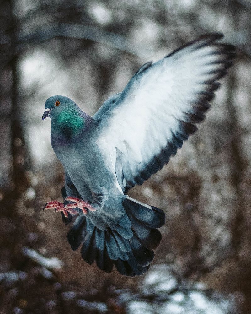 Photograph by Мария Дубова