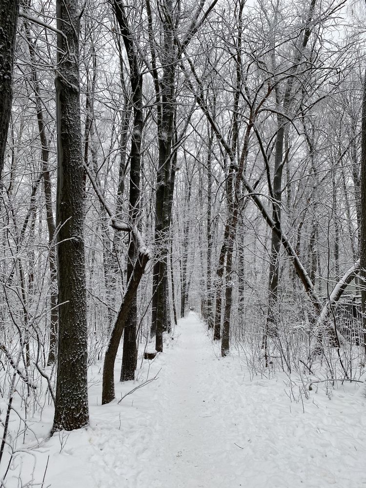 Photograph by Ольга Кушнарева