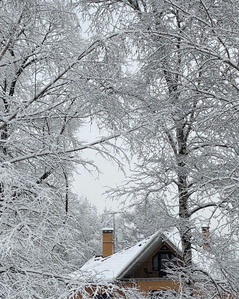 Photograph by Ольга Кушнарева