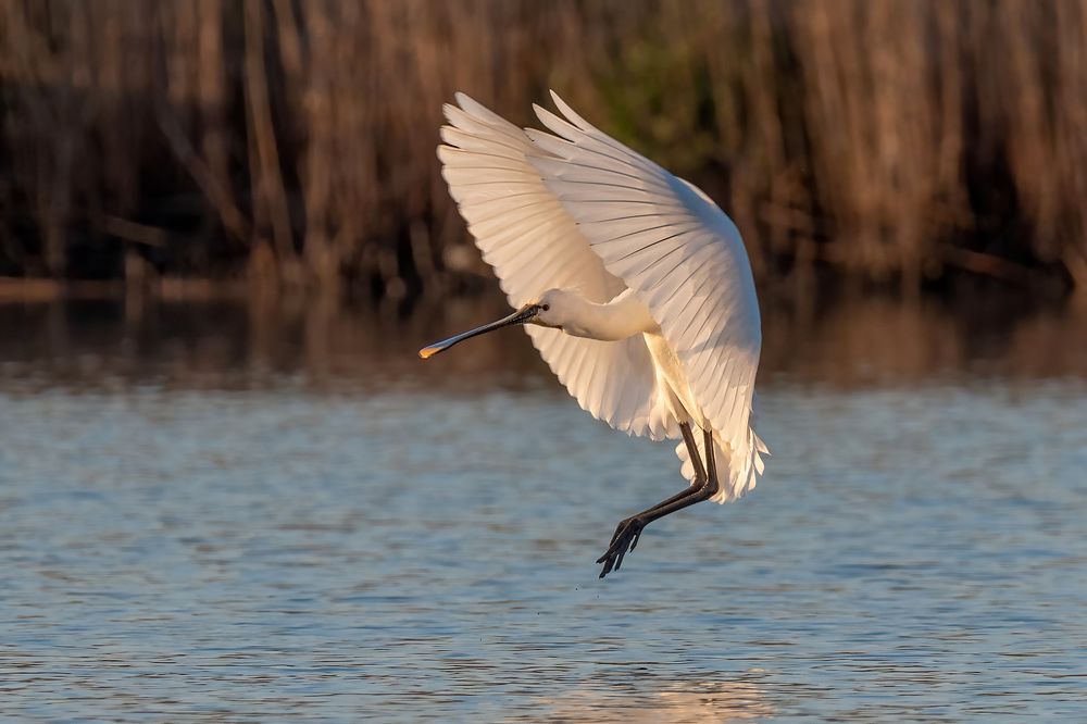 Photograph by Messina Alfonso