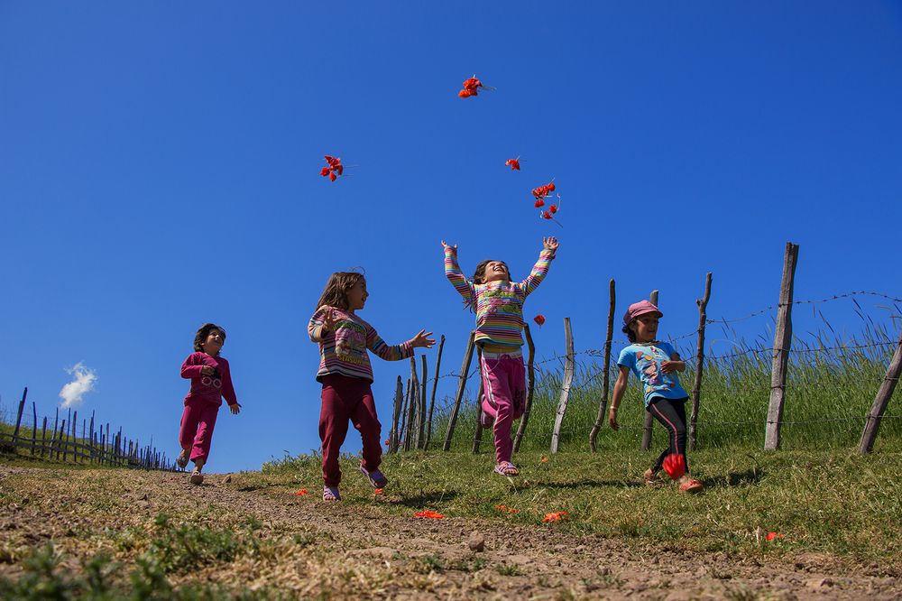 Photograph by homayon kshvarprst navi