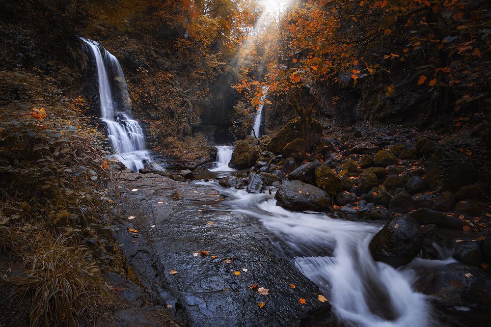 Photograph by homayon kshvarprst navi