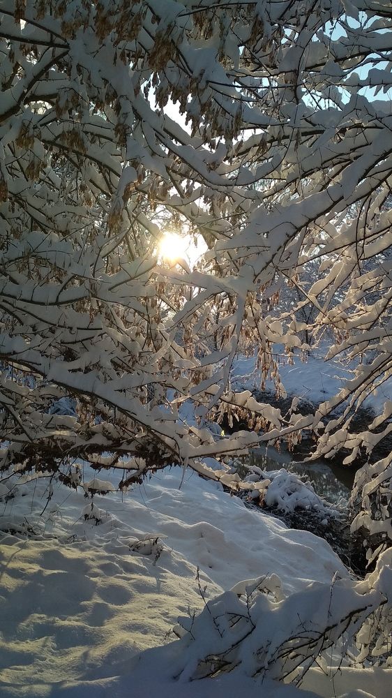 Photograph by Svetlana Shtunova
