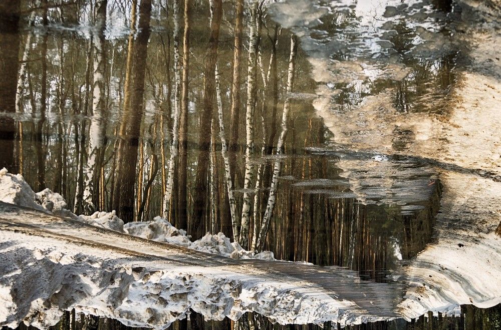 Фотография автора Валерий Лушин