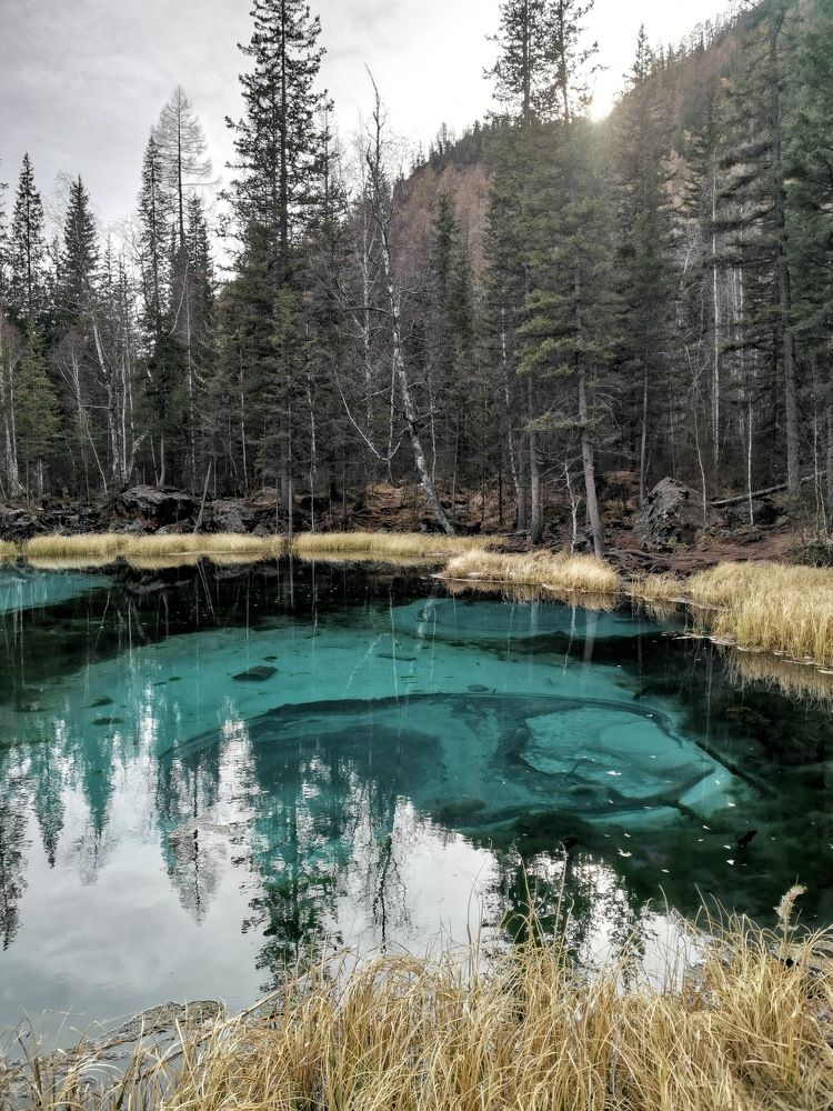 Photograph by Светлана Салмина