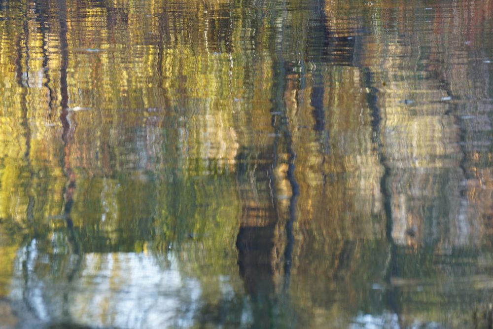 Photograph by NATALYA TOLSTOVA