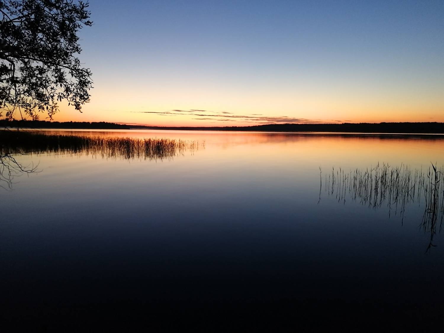 Photo #7047450