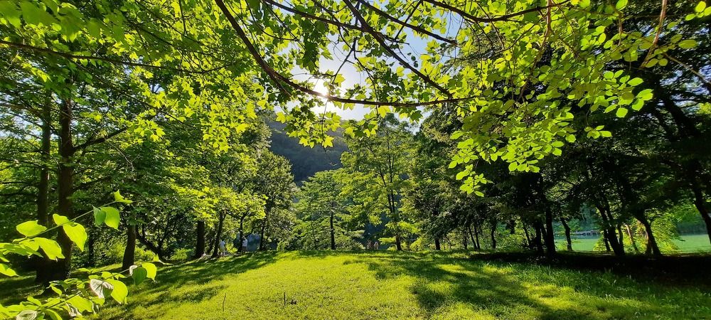 Photograph by Лала Екимчева