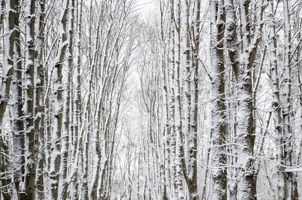 Photograph by Анна Айбетова