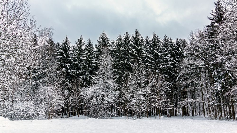 Photograph by Андрей Л