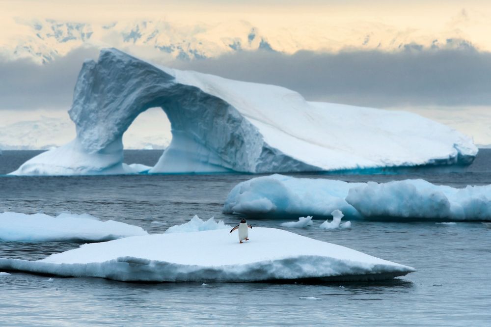 Photograph by George