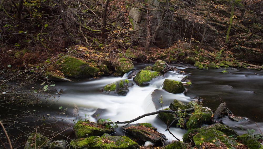 Природа в Гарце.