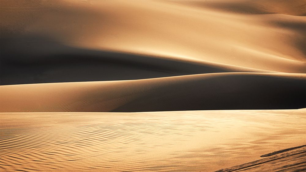 Photograph by Simin Mohit