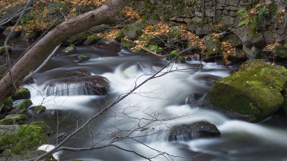 Природа в Гарце.