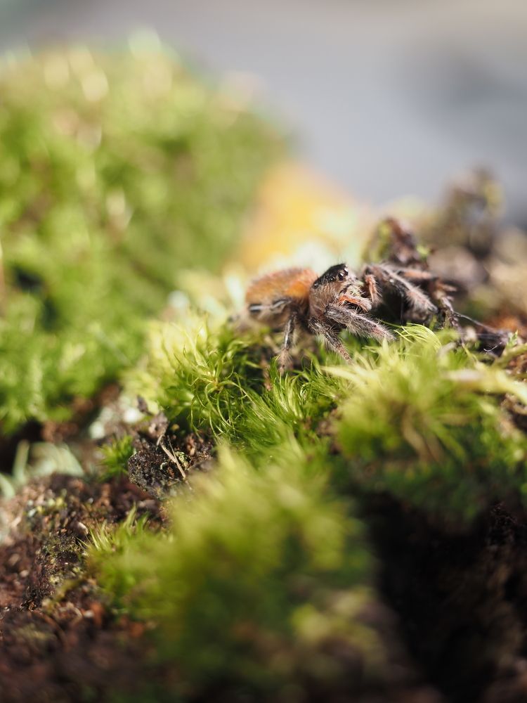 Photograph by Людмила Аненкова