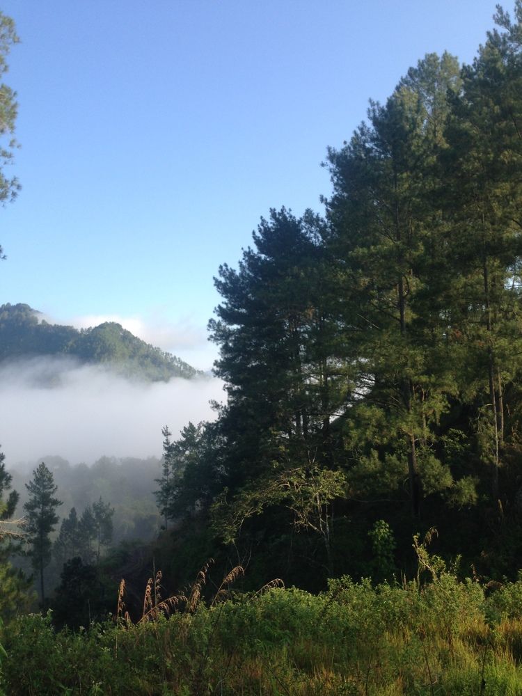 Misty Morning Upper A Hill