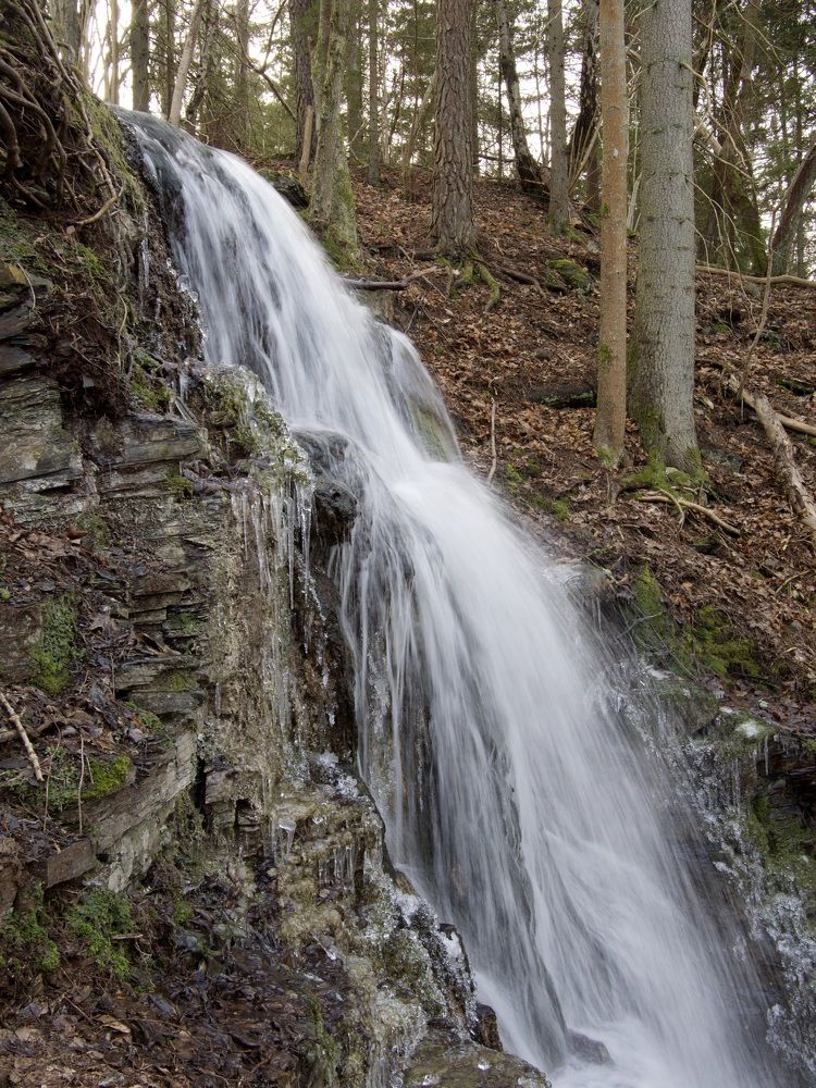 Photograph by Jarl Strömbom