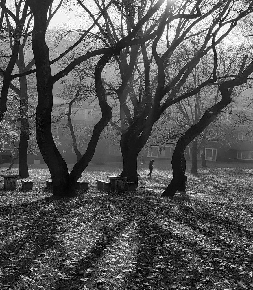 Photograph by Victoria Melnikova