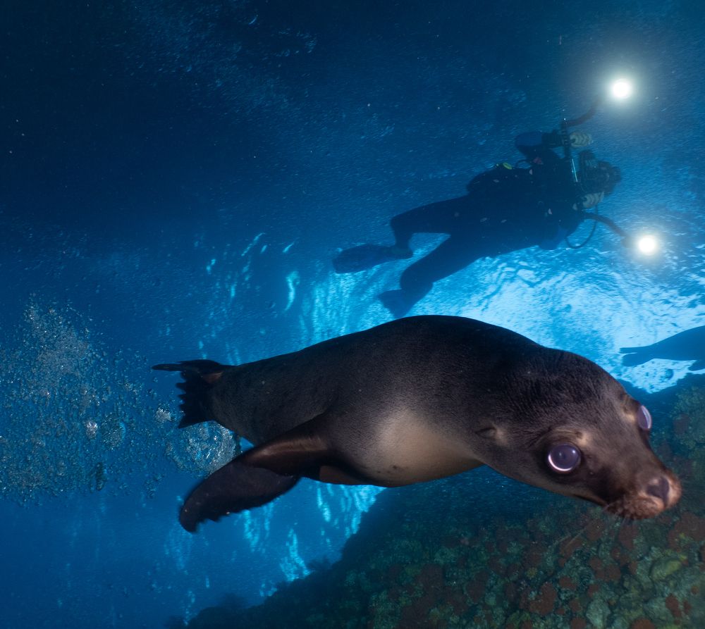 Photograph by FERNANDA SALDANHA BARBOSA DA SILVA